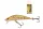 WIZARD RATTLE MINNOW SINKING 1M 5CM 3,5G T