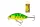 WIZARD GHOST MINNOW SLOW SINKING 2M 5CM 4G CT