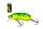 WIZARD BANDIT RATTLE CRANK SLOW-SINKING 2M 5,5CM 10G CT