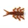IRON CLAW Drop Stuff Larva MG 2,5cm / 31db