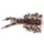 IRON CLAW Drop Stuff Larva WB 2,5cm / 31db