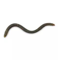 IRON CLAW Drop Stuff Crawler WM 7,5cm / 22db