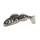 IRON CLAW 3D Clone Goby Grundel BP 10cm