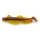 IRON CLAW Barsch & Zander Wave Glider LPK 13cm / 4db