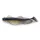 IRON CLAW Barsch & Zander Wave Glider GNT 16cm / 3db