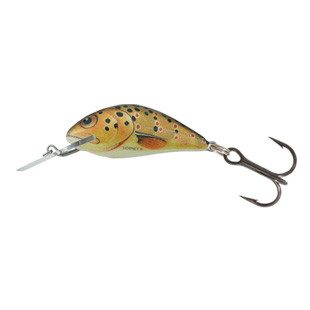 SALMO WOBBLER HORNET H2S T