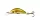 SALMO WOBBLER HORNET H3.5S AYU
