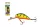 SALMO WOBBLER HORNET H5F SRO