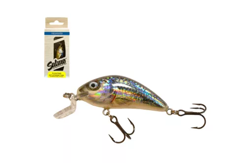 SALMO WOBBLER RATTLIN HORNET H4.5SR RTS