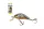 SALMO WOBBLER RATTLIN HORNET H4.5 FBG