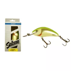 SALMO WOBBLER HORNET H9F RR