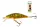 SALMO WOBBLER BULLHEAD BD4S BD