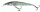 SALMO WOBBLER RATTLIN STING RS9 HBL