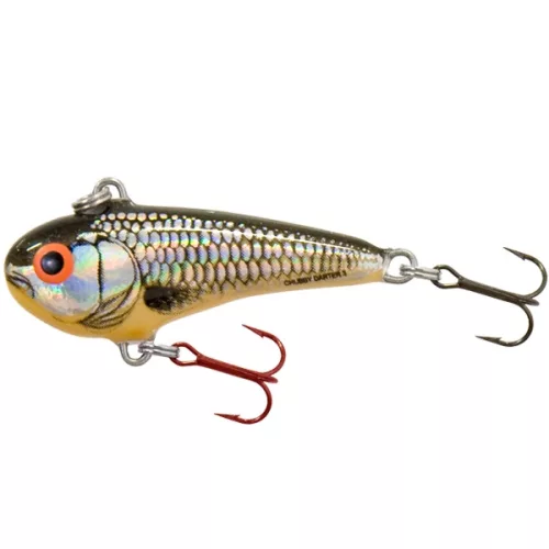 SALMO WOBBLER CHUBBY DARTER CD3 RR