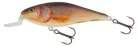 SALMO WOBBLER EXECUTOR IEX5SRF RHP