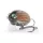 SALMO WOBBLER LIL BUG BG3F PBG
