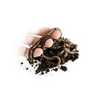 EnergoTeam KANADAI GILISZTA THERMO DOBOZBAN