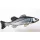 EnergoTeam PILLOW THE EUROPEAN SEA BASS 70cm