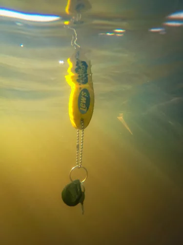 Lew's Floating Key Chain -