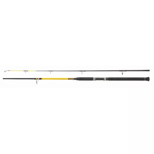 BOT WFT NEVER CRACK BIG FISH 150-700G 2,70M